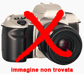 zoom immagine (ALFA ROMEO Stelvio 2.2 T.diesel 210CV AT8 Q4 Veloce)