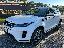 LAND ROVER RR Evoque 2.0D L.Flw 150 AWD Auto SE