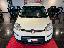 FIAT Panda 1.0 FireFly S&S Hybrid City Cross