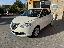 LANCIA Ypsilon 1.2 69 CV 5p. GPL Ecochic Gold