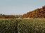 Terreno agricolo e capannone