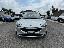 FORD Focus 1.5 EcoBlue 120CV aut. SW ST LCo-P