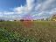 Terreno 28200 mq, zona Gatteo