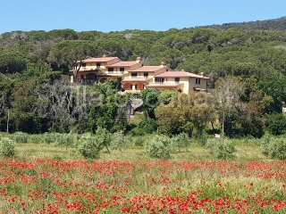 zoom immagine (Casa a schiera 102 mq, 2 camere, zona Castiglione della Pescaia)
