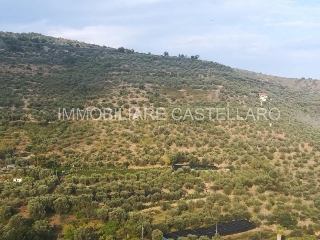 zoom immagine (Terreno 65 mq, zona Castellaro)